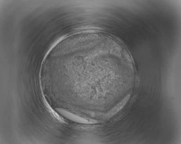 X0000085060859200703261203