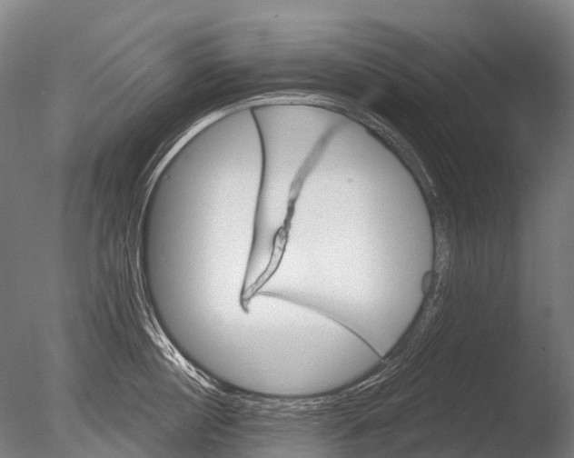 X0000085060860200703261203