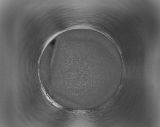 X0000085060862200703261203