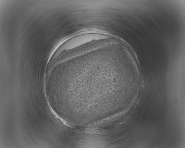 X0000085060863200703261203