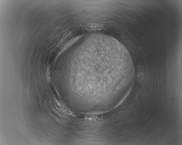 X0000085060866200703261202