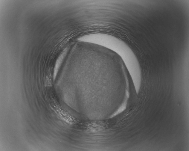 X0000085060868200703261202