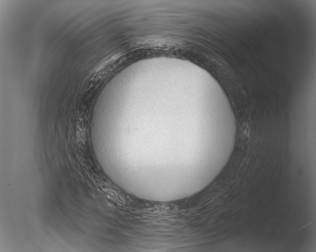 X0000085060869200703261202