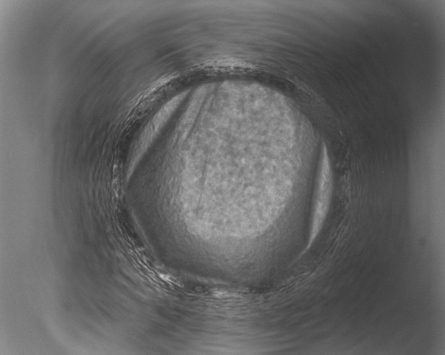 X0000085060870200703261202