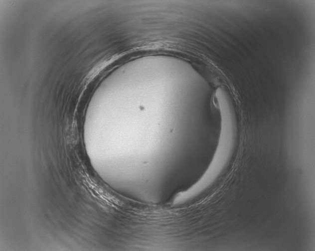 X0000085060876200703261202