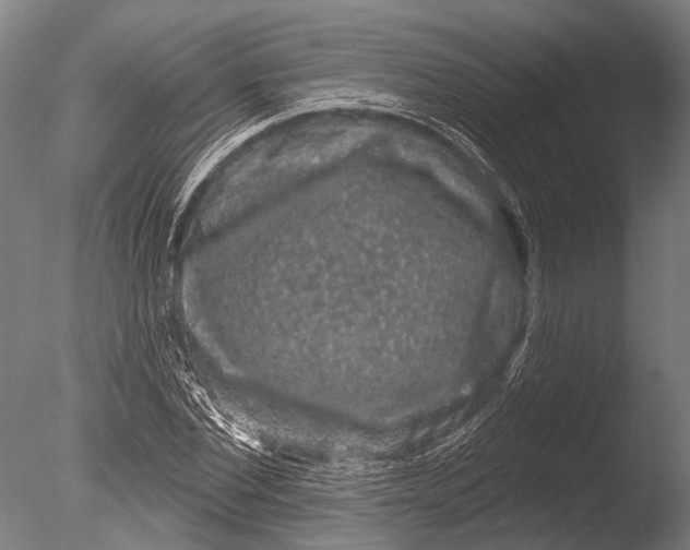 X0000085060877200703261202