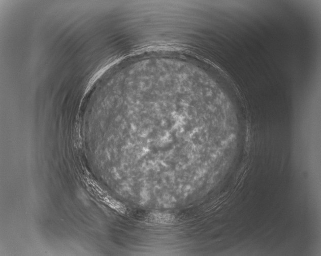 X0000085060878200703261202