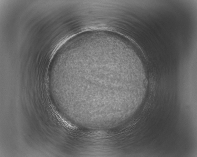 X0000085060879200703261202