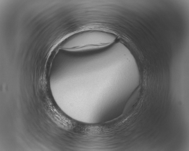 X0000085060880200703261202