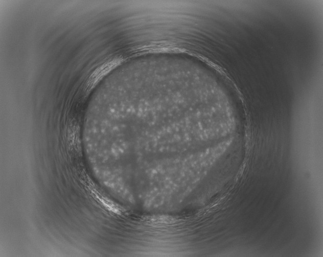 X0000085060881200703261202