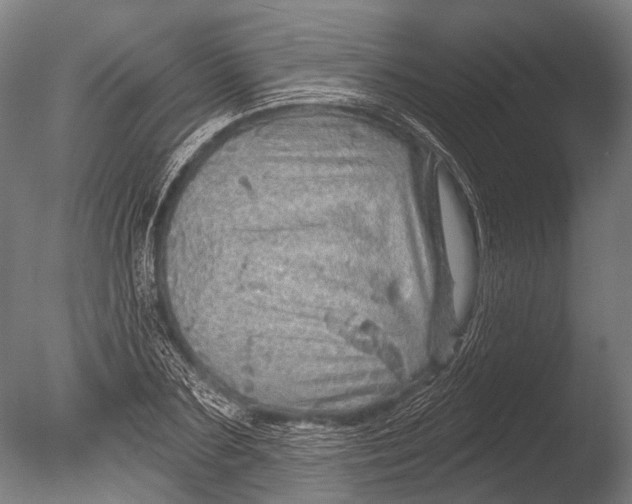 X0000085060883200703261202