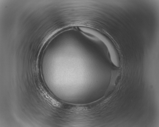 X0000085060884200703261202