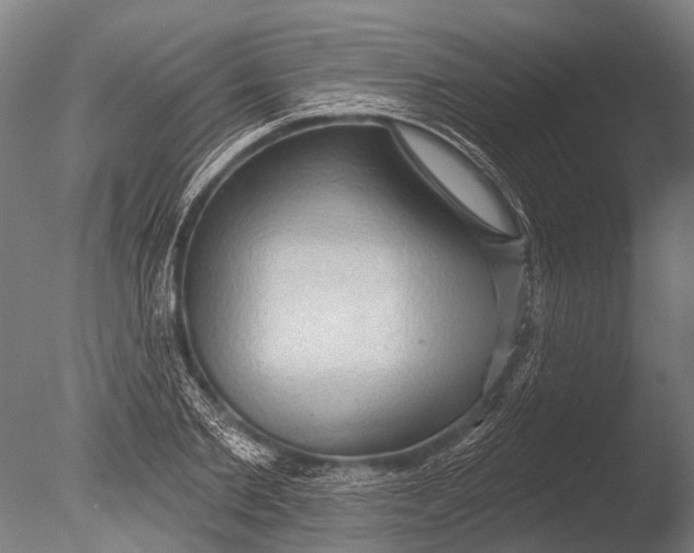 X0000085060885200703261202