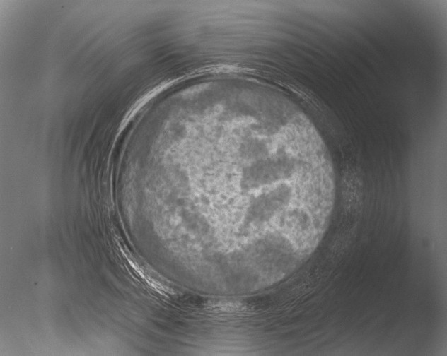 X0000085060886200703261202