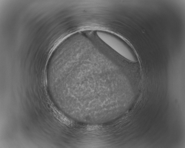 X0000085060887200703261202