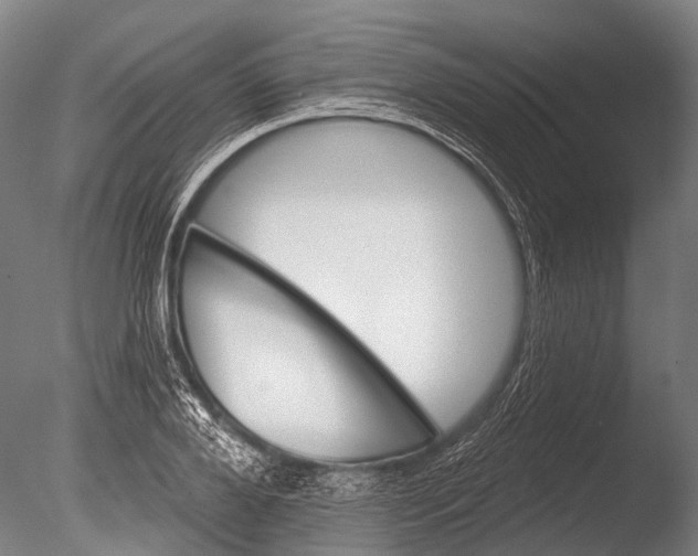 X0000085060888200703261202