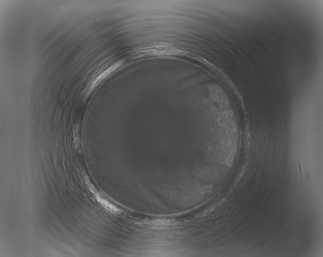 X0000085060889200703261202