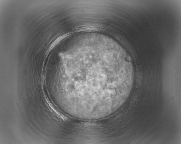 X0000085060890200703261202