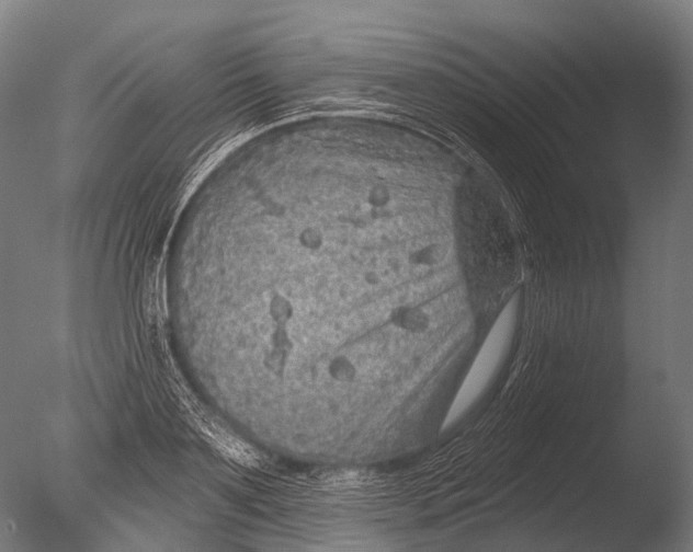 X0000085060891200703261202