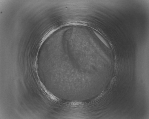 X0000085060893200703261202