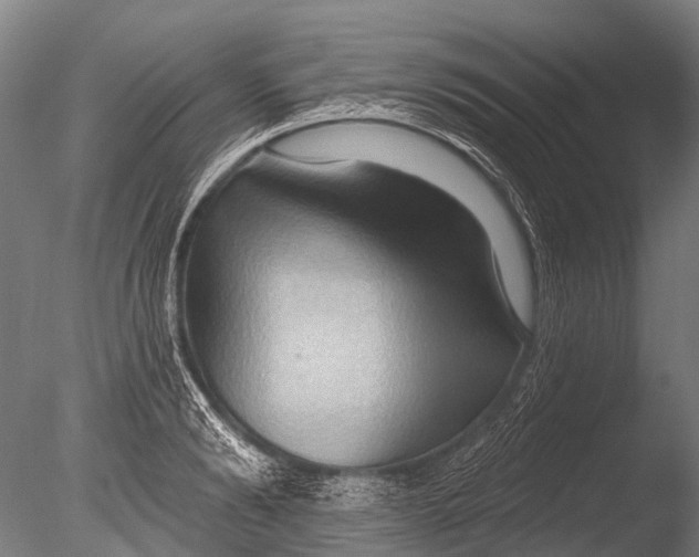 X0000085060894200703261202