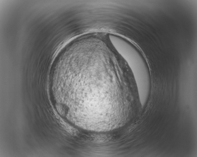 X0000085060895200703261202