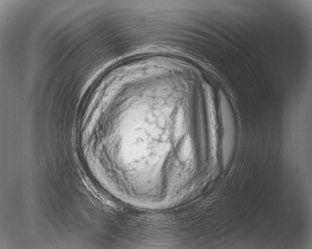 X0000085060896200703261202