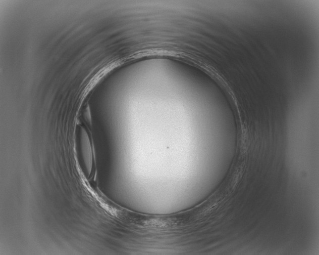 X0000085060898200703261201