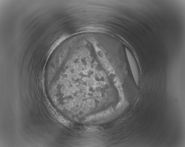 X0000085060899200703261201