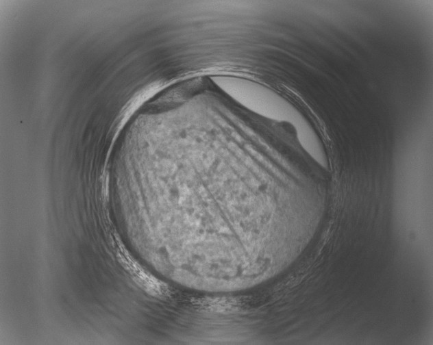 X0000085060900200703261201