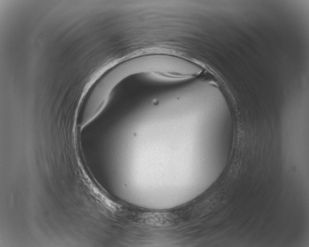 X0000085060902200703261201