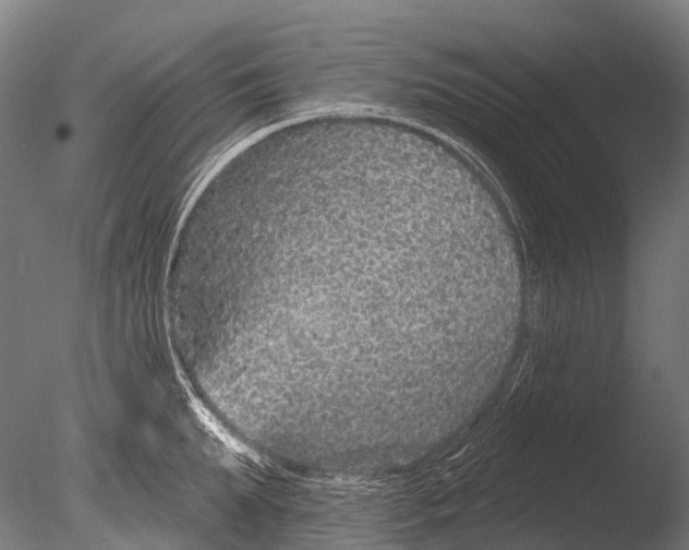 X0000085060903200703261201