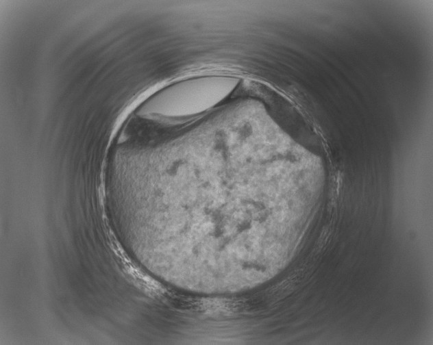 X0000085060904200703261201