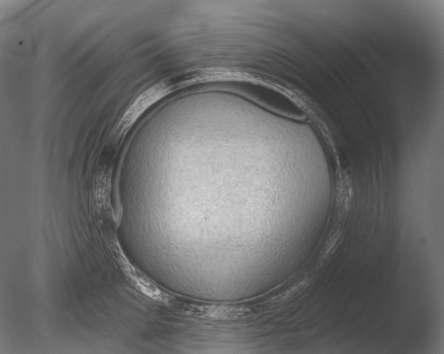 X0000085060905200703261201