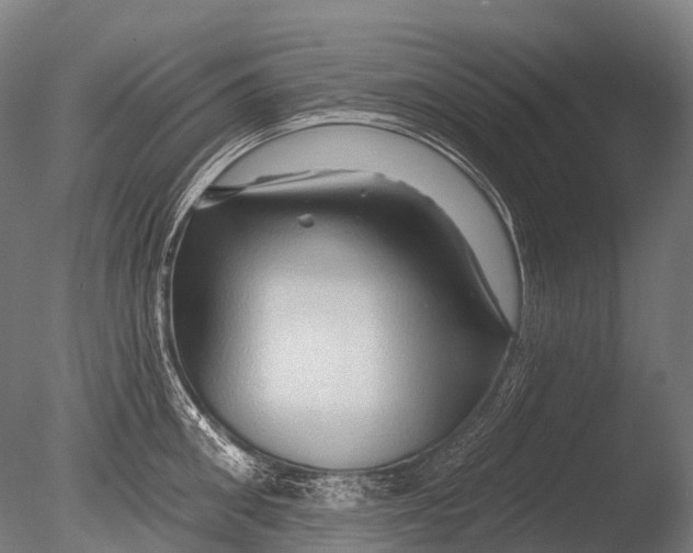 X0000085060906200703261201