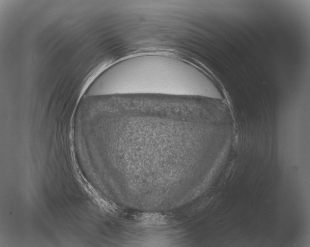 X0000085060907200703261201