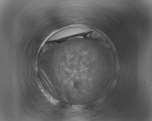 X0000085060908200703261201