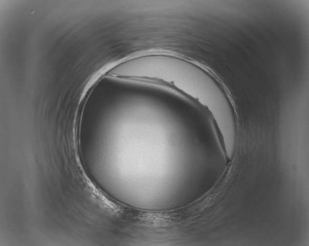 X0000085060910200703261201