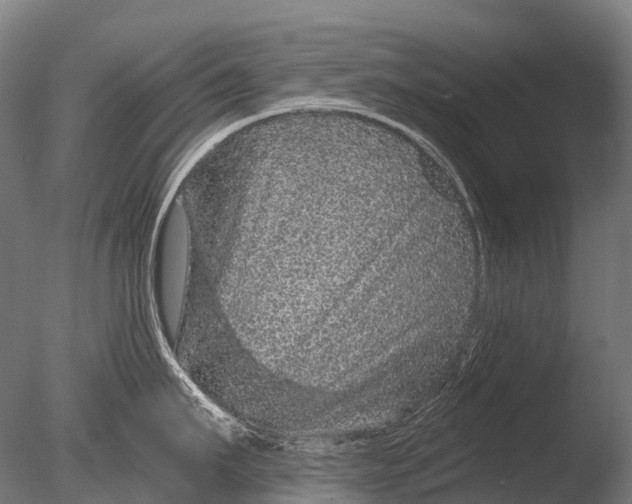 X0000085060911200703261201