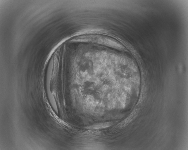 X0000085060912200703261201