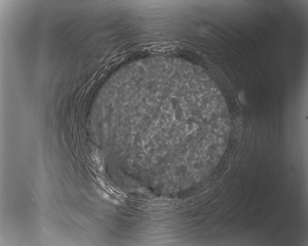 X0000085060913200703261200