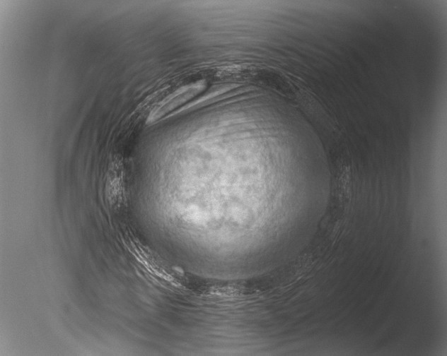 X0000085060914200703261200