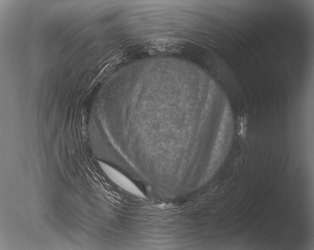 X0000085060915200703261200