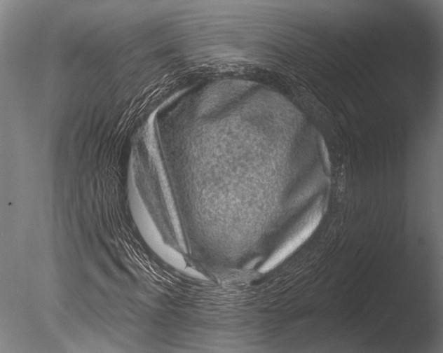 X0000085060916200703261200