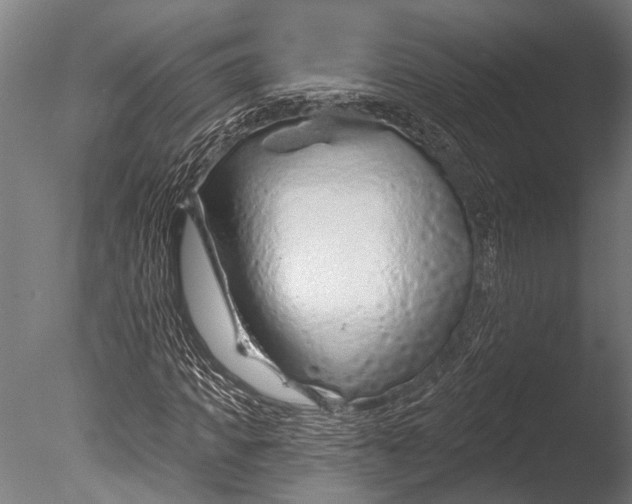 X0000085060917200703261200