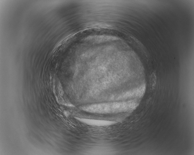 X0000085060919200703261200