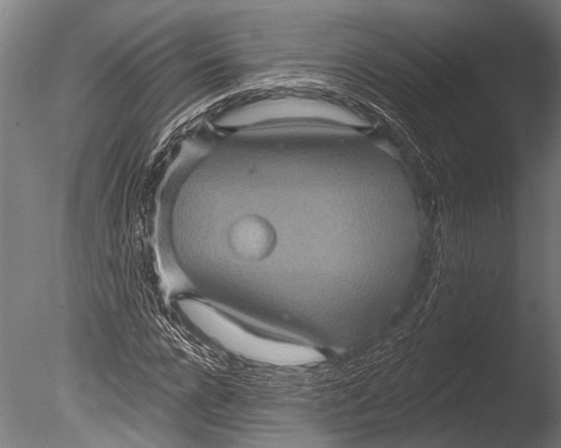 X0000085060920200703261200