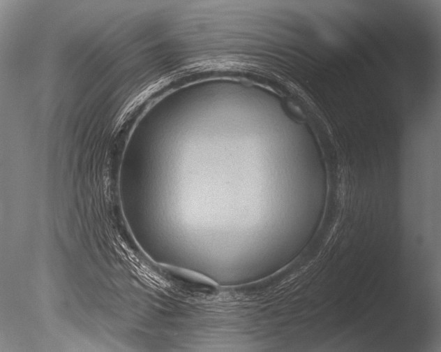 X0000085060922200703261200