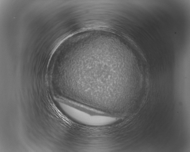 X0000085060924200703261201