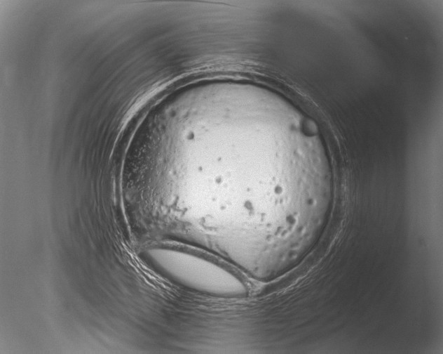 X0000085060925200703261201